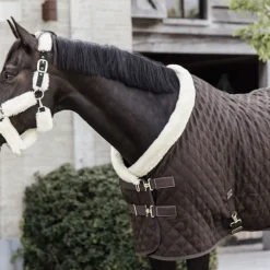Couverture de présentation cheval Show Rug 160 g - Kentucky