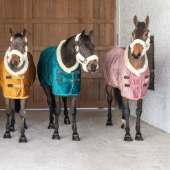 Couverture de présentation cheval Velvet 160 gr - Kentucky