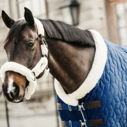 Couverture de présentation cheval Velvet 160 gr - Kentucky