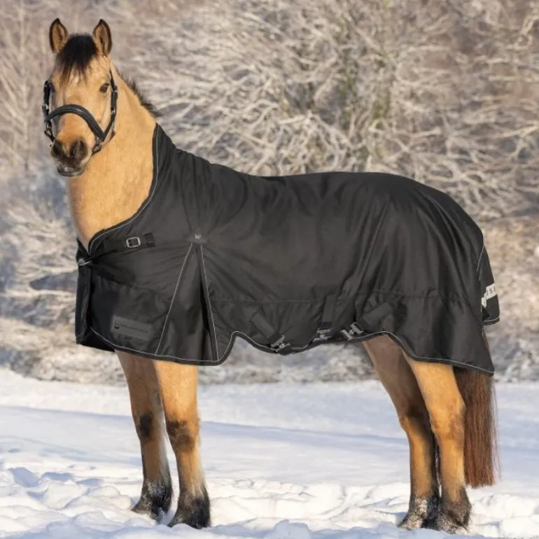 Couverture d'extérieur cheval Scandic encolure haute 200 g - Waldhausen
