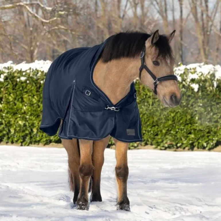 Couverture d'extérieur cheval Scandic encolure haute 200 g - Waldhausen