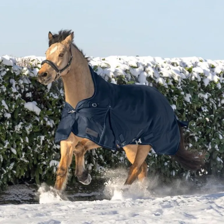 Couverture d'extérieur cheval Scandic encolure haute 200 g - Waldhausen