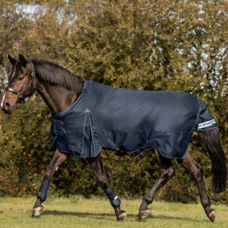 Couverture d'extérieur cheval Arctic 100 g - Waldhausen