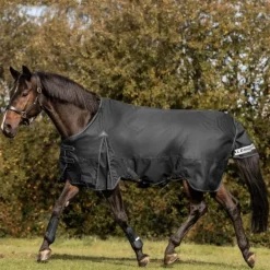 Couverture d'extérieur cheval Arctic 200 g - Waldhausen