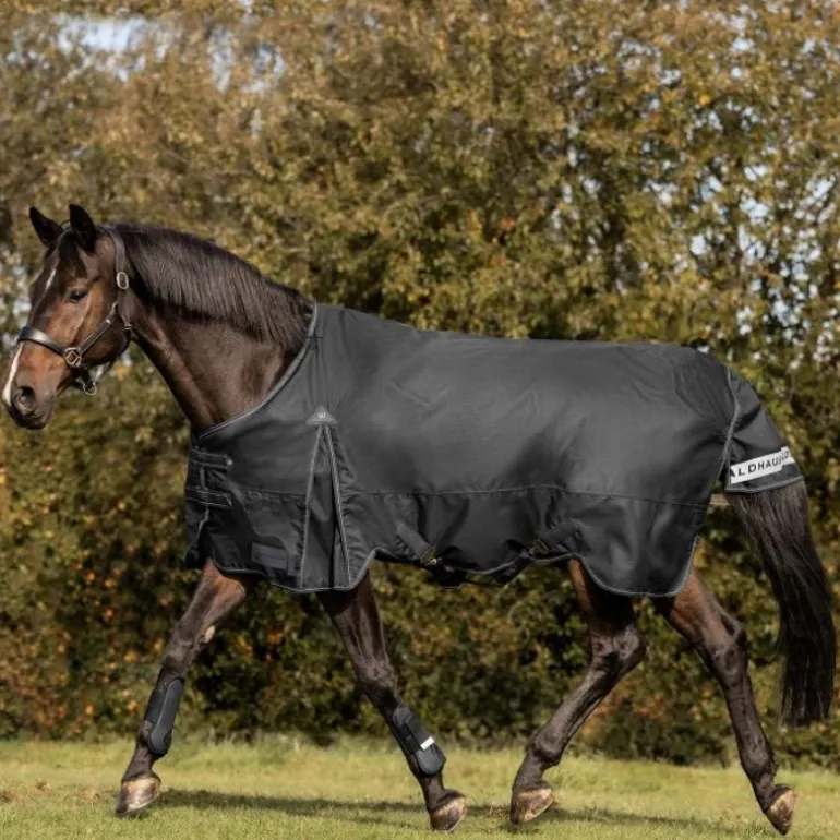 Couverture d'extérieur cheval Arctic 200 g - Waldhausen