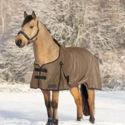 Couverture d'extérieur cheval Arctic Light 0 g - Waldhausen
