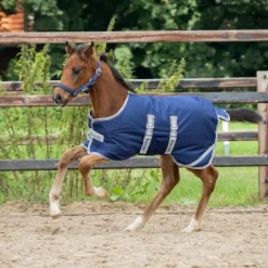 Couverture exterieur poulain imperméable Ripstop 50g - Bucas