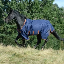 Couverture extérieur cheval X-Range Turnout 200g - Bucas