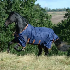 Couverture extérieur cheval X-Range Turnout 200g - Bucas