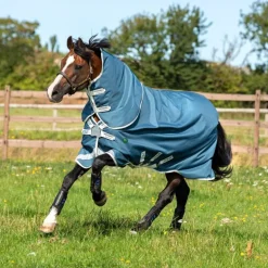 Couverture extérieur cheval Amigo Am Eco 12 plus turnout 100g - Horseware