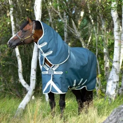 Couverture extérieur cheval Amigo Am Eco 12 plus turnout 100g - Horseware