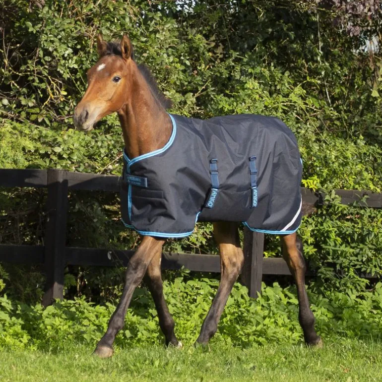 Couverture extérieur poulain 50g Foal Rug - Horseware