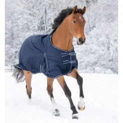 Couverture extérieur cheval 200g Economic Clip'in system - Waldhausen