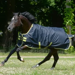 Couverture extérieur cheval avec couvre-cou Oasis 900 deniers 200g - Bucas