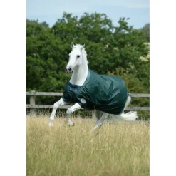 Couverture extérieur cheval Green line 300g en tissu recyclable - Bucas