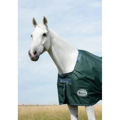 Couverture extérieur cheval Green line 300g en tissu recyclable - Bucas