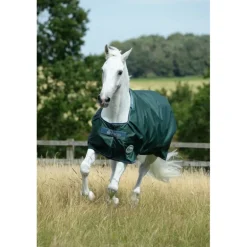 Couverture extérieur cheval Green line 300g en tissu recyclable - Bucas