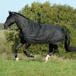 Couverture extérieur cheval encolure haute 50g Irish Turnout Light - Bucas