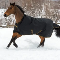 Couverture extérieur cheval encolure haute 50g Irish Turnout Light - Bucas