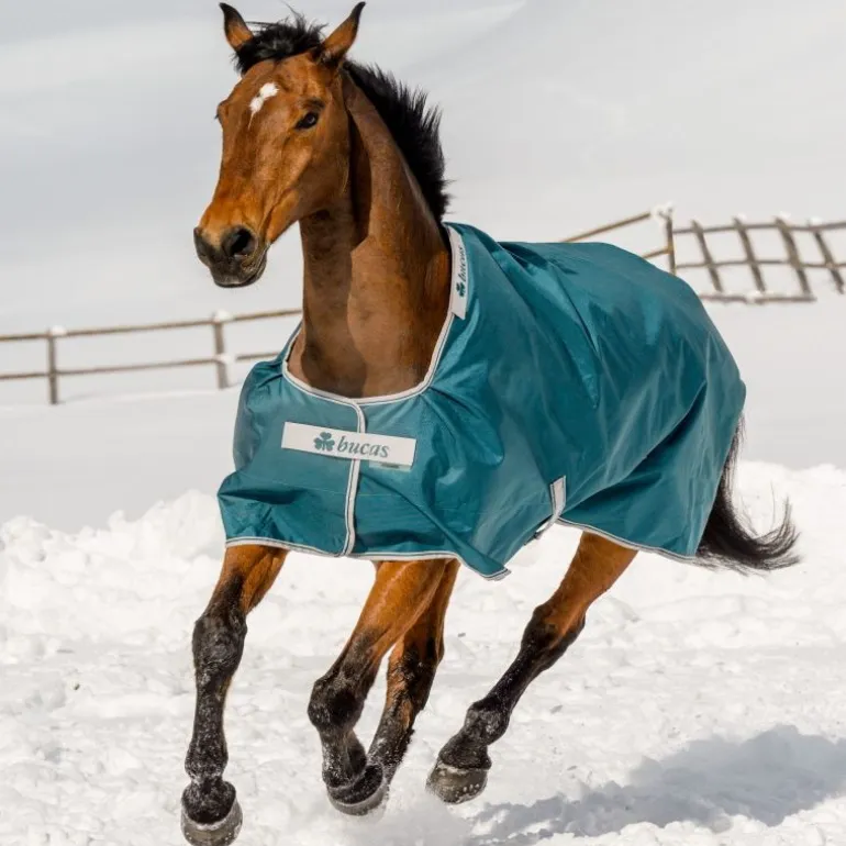Couverture extérieur cheval 400g Atlantic - Bucas