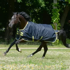 Couverture extérieur cheval avec couvre-cou Oasis 900 deniers 100g - Bucas