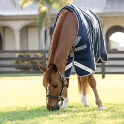 Couverture extérieur cheval Amigo 0g - Horseware