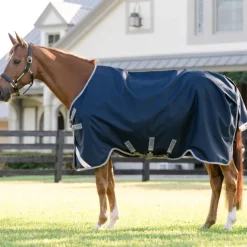 Couverture extérieur cheval Amigo 0g - Horseware