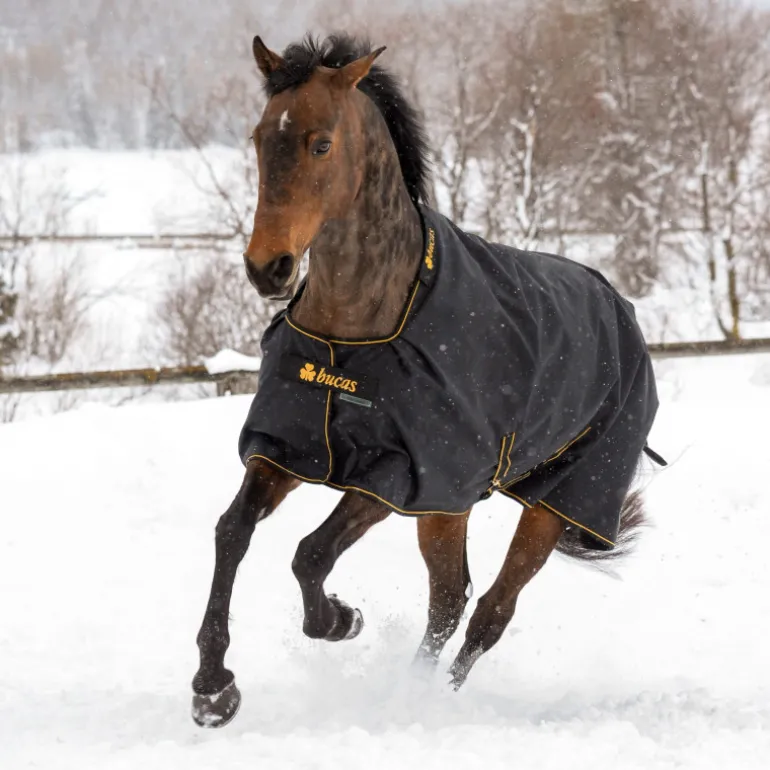 Couverture extérieur cheval 150g Irish Turnout Medium - Bucas