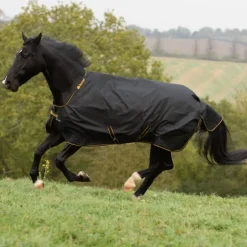 Couverture extérieur cheval 150g Irish Turnout Medium - Bucas