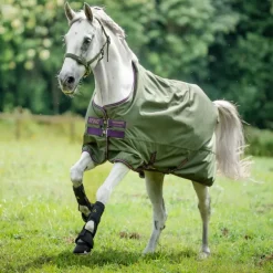 Couverture extérieur cheval avec couvre-cou Amigo Hero Ripstop Lite 0g - Horseware