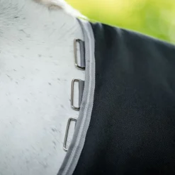 Couverture extérieur cheval Amigo 250g - Horseware