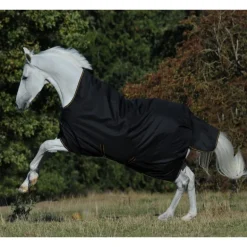 Couverture extérieur cheval 300g encolure haute Irish Turnout Extra - Bucas
