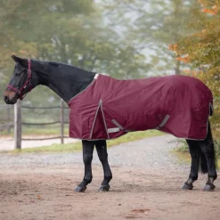 Couverture extérieur cheval 300g Economic Clip'in system - Waldhausen