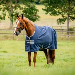 Couverture extérieur cheval Amigo Ripstop 200g 900 deniers - Horseware