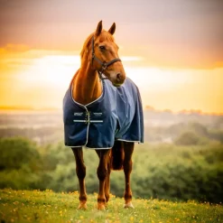Couverture extérieur poney Amigo Ripstop 50g 900 deniers - Horseware