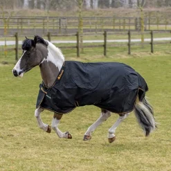 Couverture extérieur poney 50 g Irish Turnout Light - Bucas