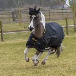 Couverture extérieur poney - Irish Turnout extra 300g - Bucas