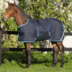 Couverture extérieur poulain Amigo Foal 200g - Horseware