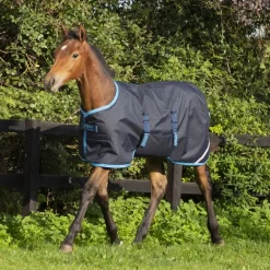 Couverture extérieur poulain Amigo Foal 200g - Horseware