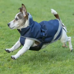 Couverture imperméable chien Freedom 150g - Bucas