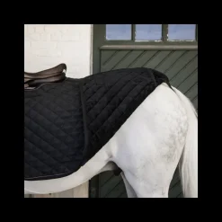 Couvre-reins cheval carré dressage 160g - Kentucky