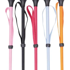 Cravache équitation avec dragonne - Harry's Horse