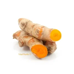 Curcuma cheval 100% racines en poudre - Vital Herbs