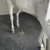 Dalle Clip Super en caouthouc pour douche écurie cheval - IDS
