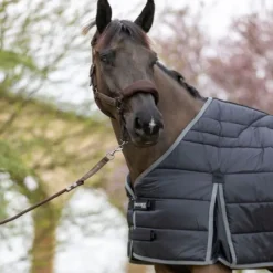 Doublure ergonomique cheval Gatsby 100g - Pro-Confort Horsewear