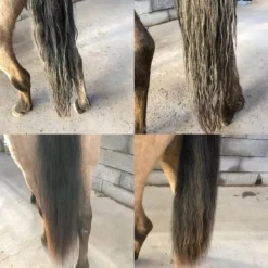 Easy Shine recharge démêlant cheval - Ravene