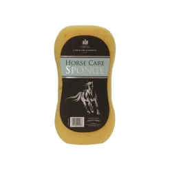 Eponge ergonomique - Carr and Day and Martin