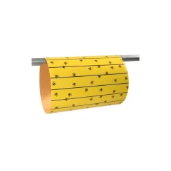 Feuilles attrape-mouches FlyMaster