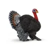 Figurine Dindon - Schleich