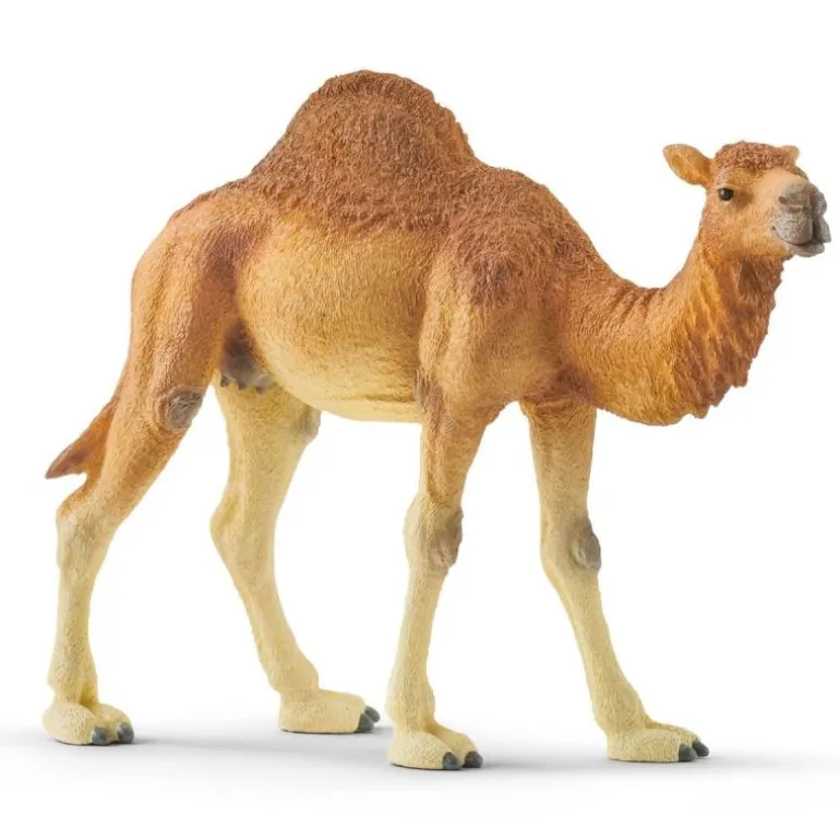 Figurine Dromadaire - Schleich